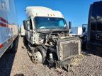 2020 Freightliner Cascadia 126