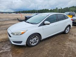2015 Ford Focus se for sale in Greenwell Springs, LA