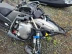 2025 Other Snow Mobile UMV2S 650R