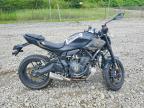 2026 Yamaha MTN690
