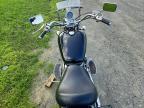 1995 Honda VT1100 C2