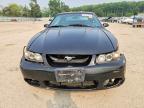2003 Ford Mustang