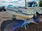 1992 Celebrity 190BR-Boat