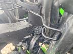 2025 Kawasaki EX650 P