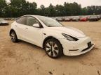 2022 Tesla Model  y
