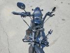 2019 Harley-Davidson XL883 N