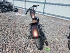 2019 Harley-Davidson XL883 N