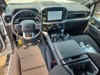 2025 Ford F150 XLT