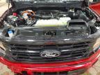 2025 Ford F150 XLT
