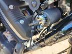 2020 Harley-Davidson XL883 N