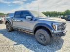 2025 Ford F150 Raptor
