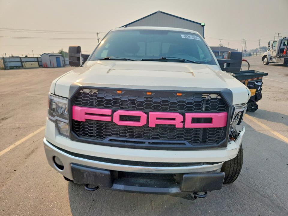 2009 Ford F150