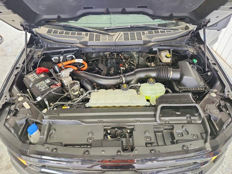 2025 Ford F150 XLT