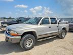2000 Dodge Dakota 2WD