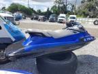 2019 Yama VX