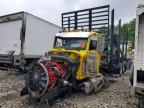 2018 Peterbilt 389