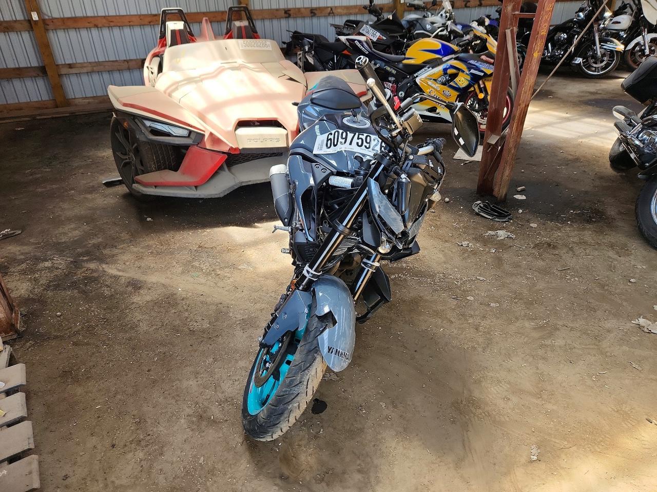 2023 Yamaha MT-03