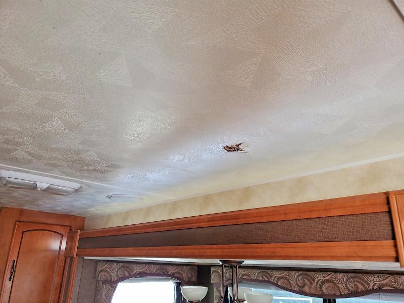 2012 Foresriver 2012 Forest River Puma Camper