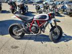 2019 Ducati Scrambler Desert Sled