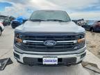 2024 Ford F150 XLT