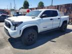 2024 Toyota Tacoma TRD Sport HV