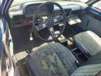 1981 Toyota Pickup / Cab Chassis 1/2 TON SR5