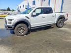 2017 Ford F150 Raptor