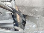2023 Cf Moto 450SS