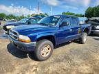 2004 Dodge Dakota Quad Sport
