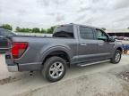 2025 Ford F150 XLT