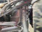 2025 Triumph Trident 660