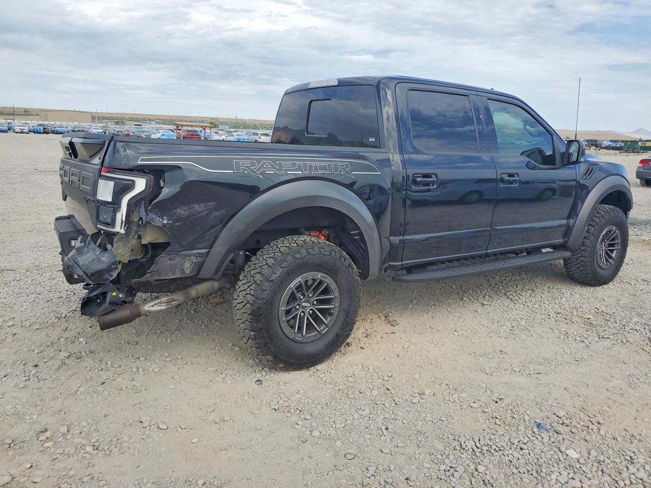 2019 Ford F150 Raptor