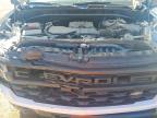 2024 Chevrolet Silverado K1500