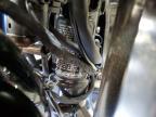 2024 Triumph Bonneville T100