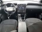 2023 Hyundai Santa Cruz Night
