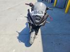 2024 Suzuki GSX800 F
