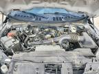 2025 Ford F150 STX