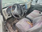 2013 International Terrastar