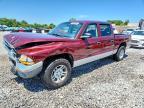 2001 Dodge Dakota Quattro
