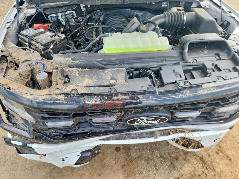 2026 Ford F150 STX