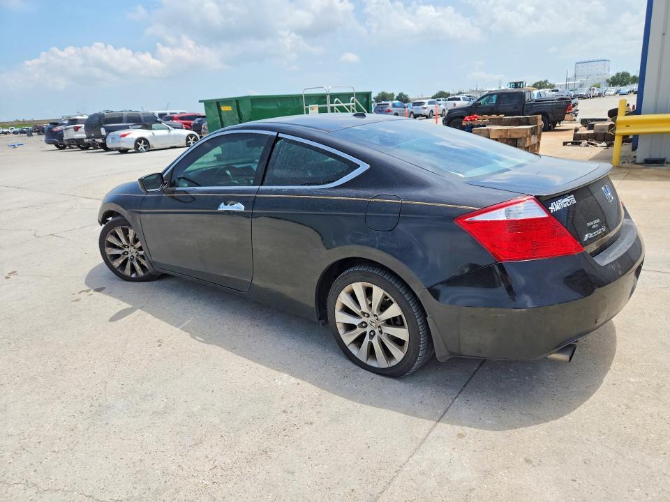 2010 Honda Accord exl