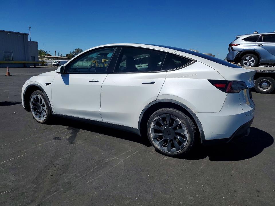 2025 Tesla Model Y