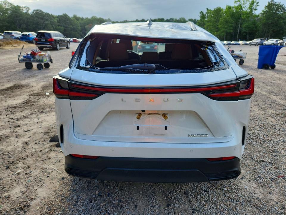 2022 Lexus Nx 250