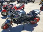 2024 Ducati Monster