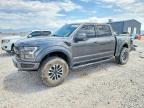 2019 Ford F150 Raptor