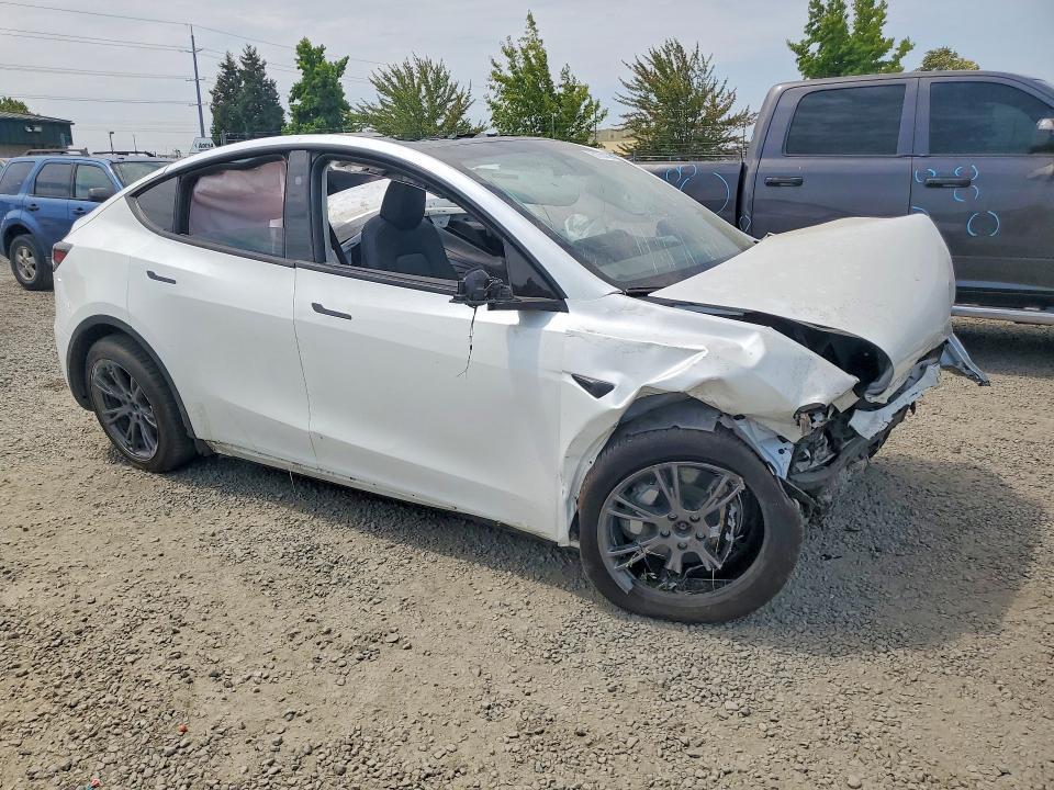 2025 Tesla Model y