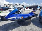2019 Yama VX