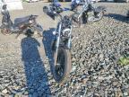 2023 Harley-Davidson RH975