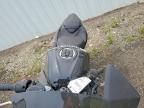 2025 Kawasaki EX500