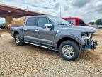 2024 Ford F150 XLT